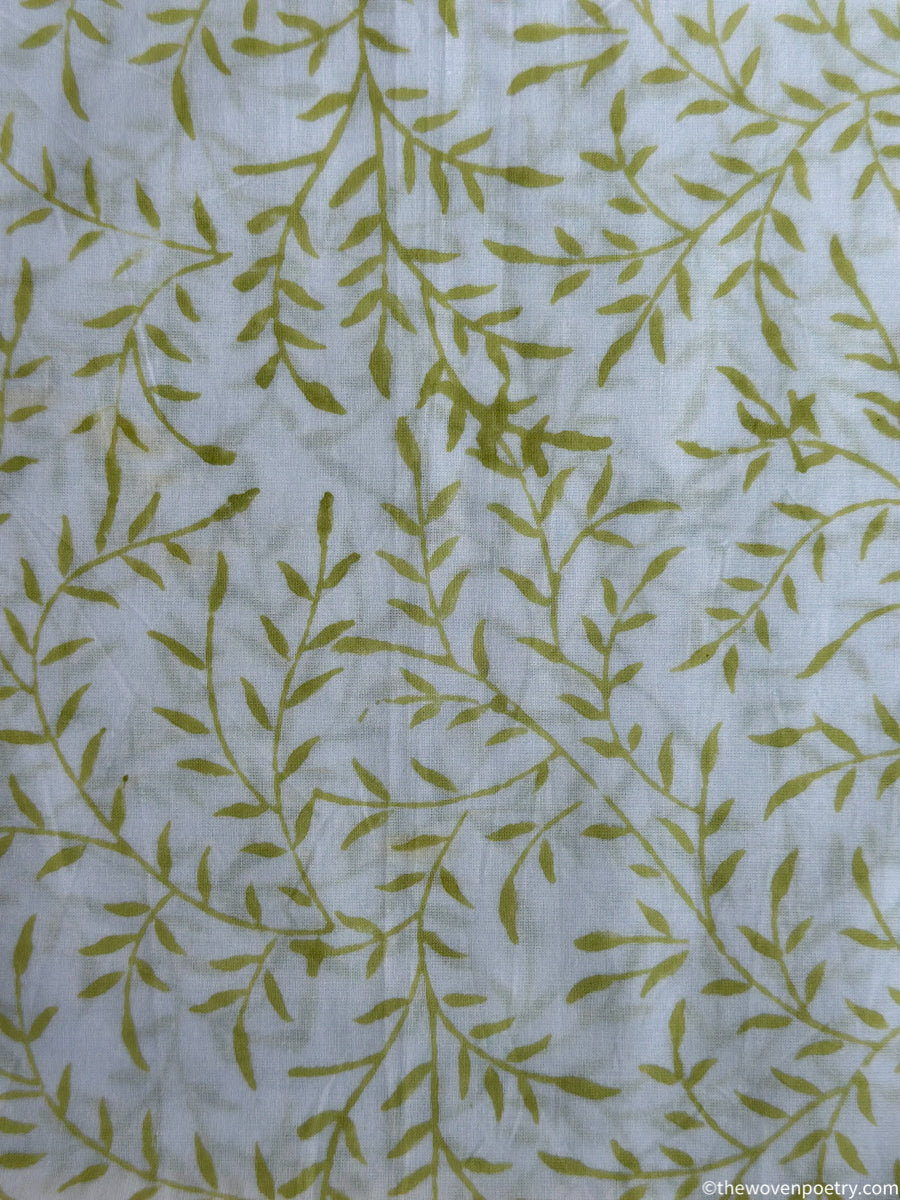 IVORY FERN WHISPER