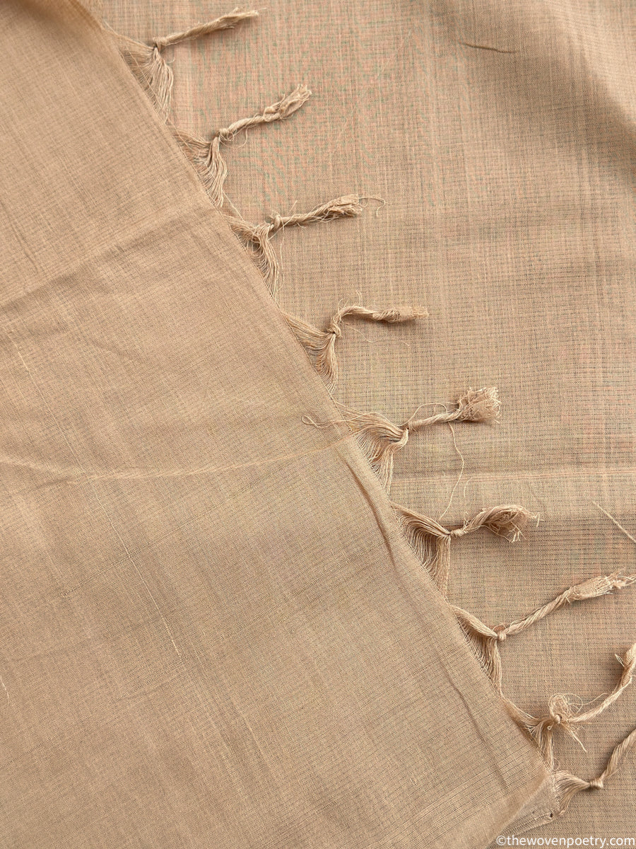 handloom saree beige